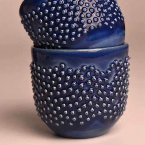 czarka cara bein blue mini 2.JPG