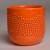 czarka orange 3.JPG